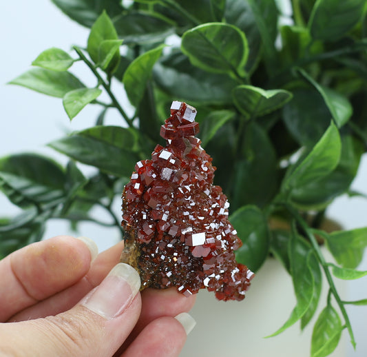 Moroccan Vanadinite Specimen