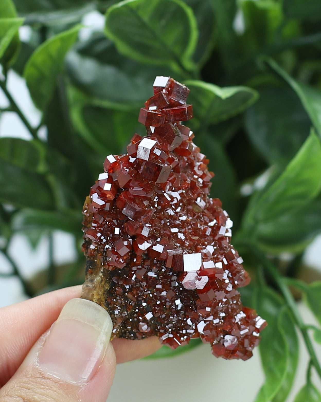 Moroccan Vanadinite Specimen