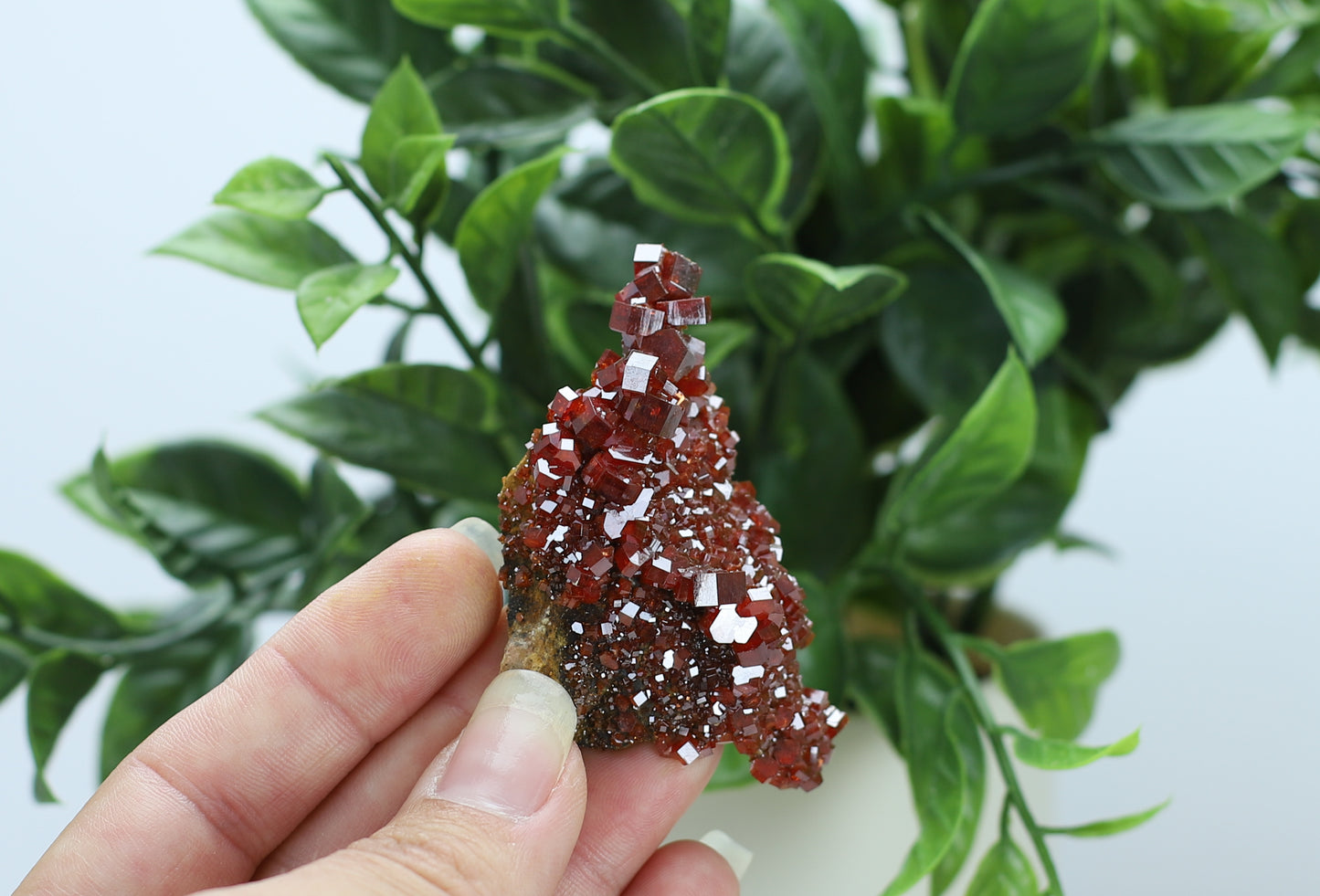 Moroccan Vanadinite Specimen