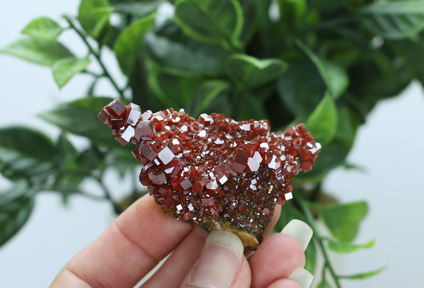 Moroccan Vanadinite Specimen