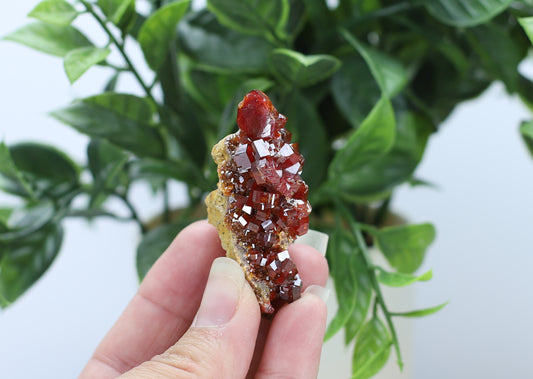 Moroccan Vanadinite Specimen