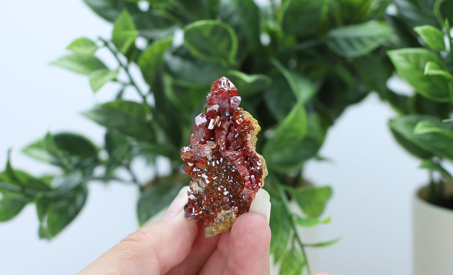 Moroccan Vanadinite Specimen