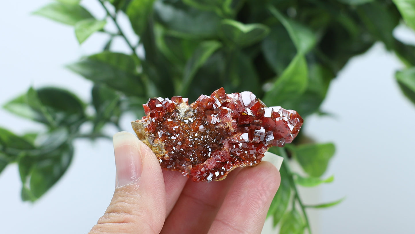 Moroccan Vanadinite Specimen