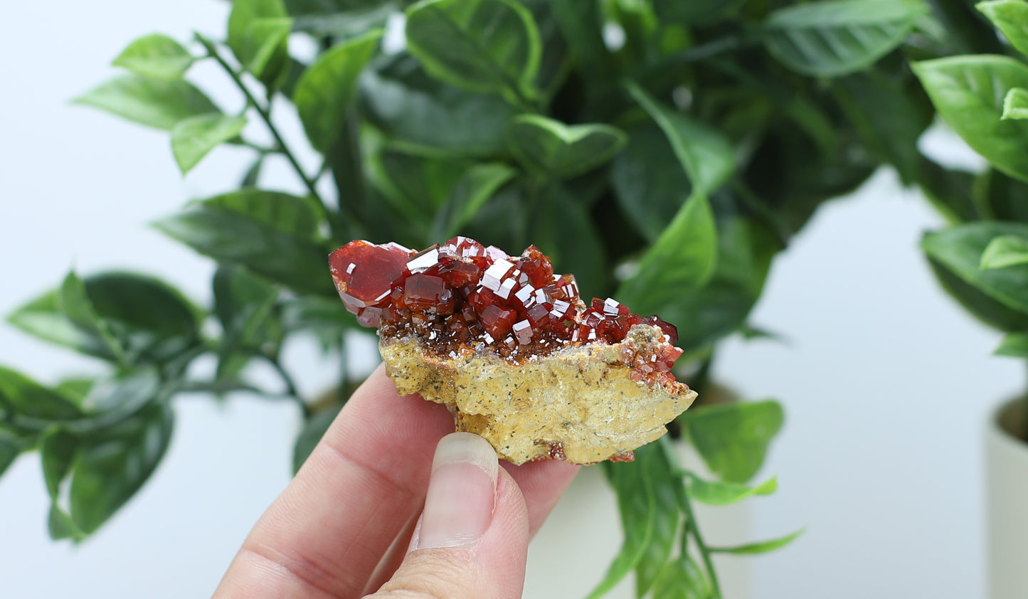 Moroccan Vanadinite Specimen