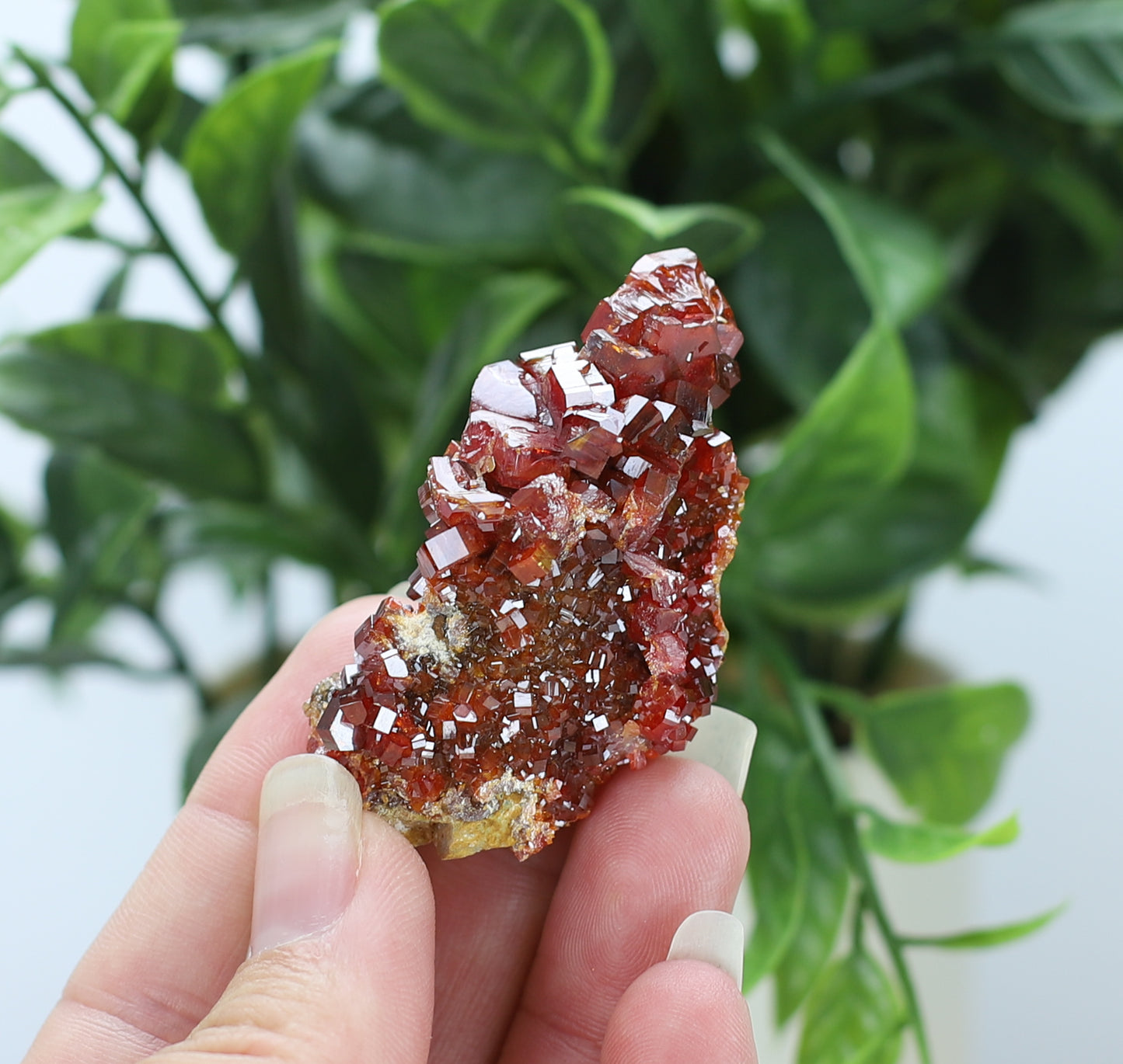 Moroccan Vanadinite Specimen