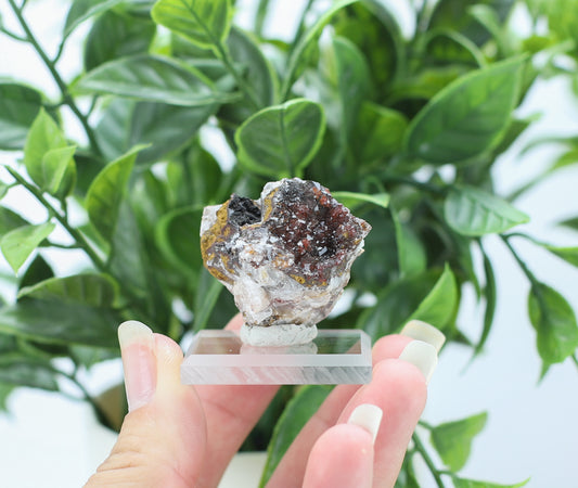 Manganese and Quartz