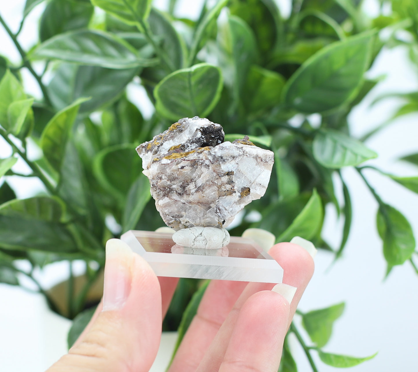 Manganese and Quartz