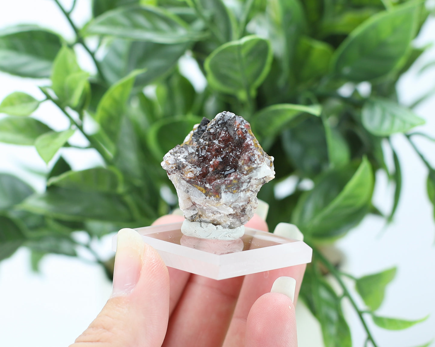 Manganese and Quartz