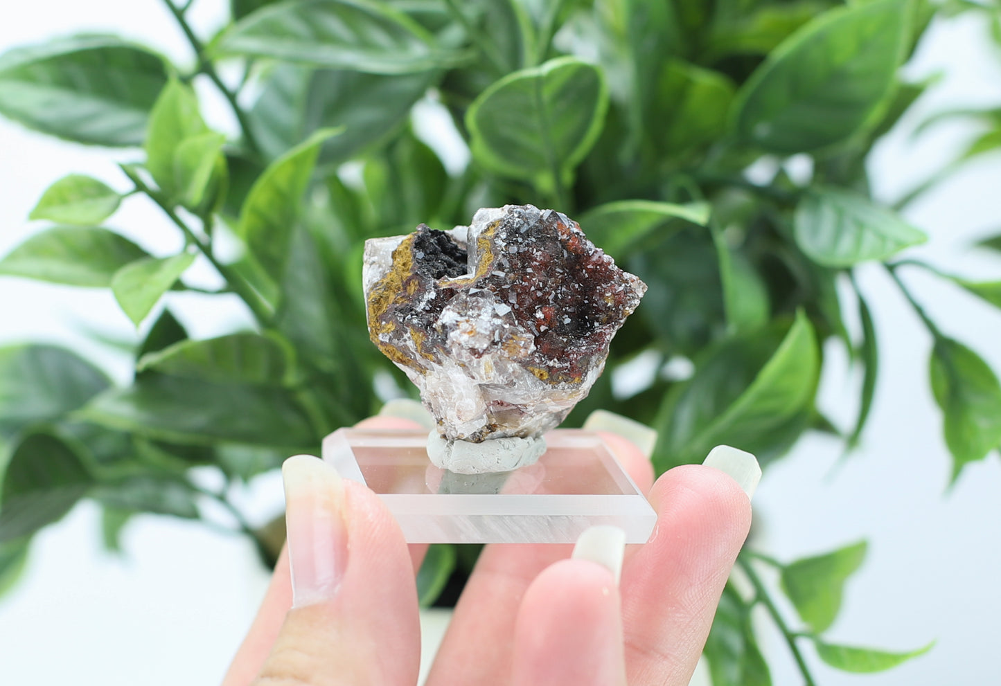 Manganese and Quartz