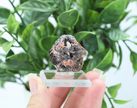 Manganese and Quartz