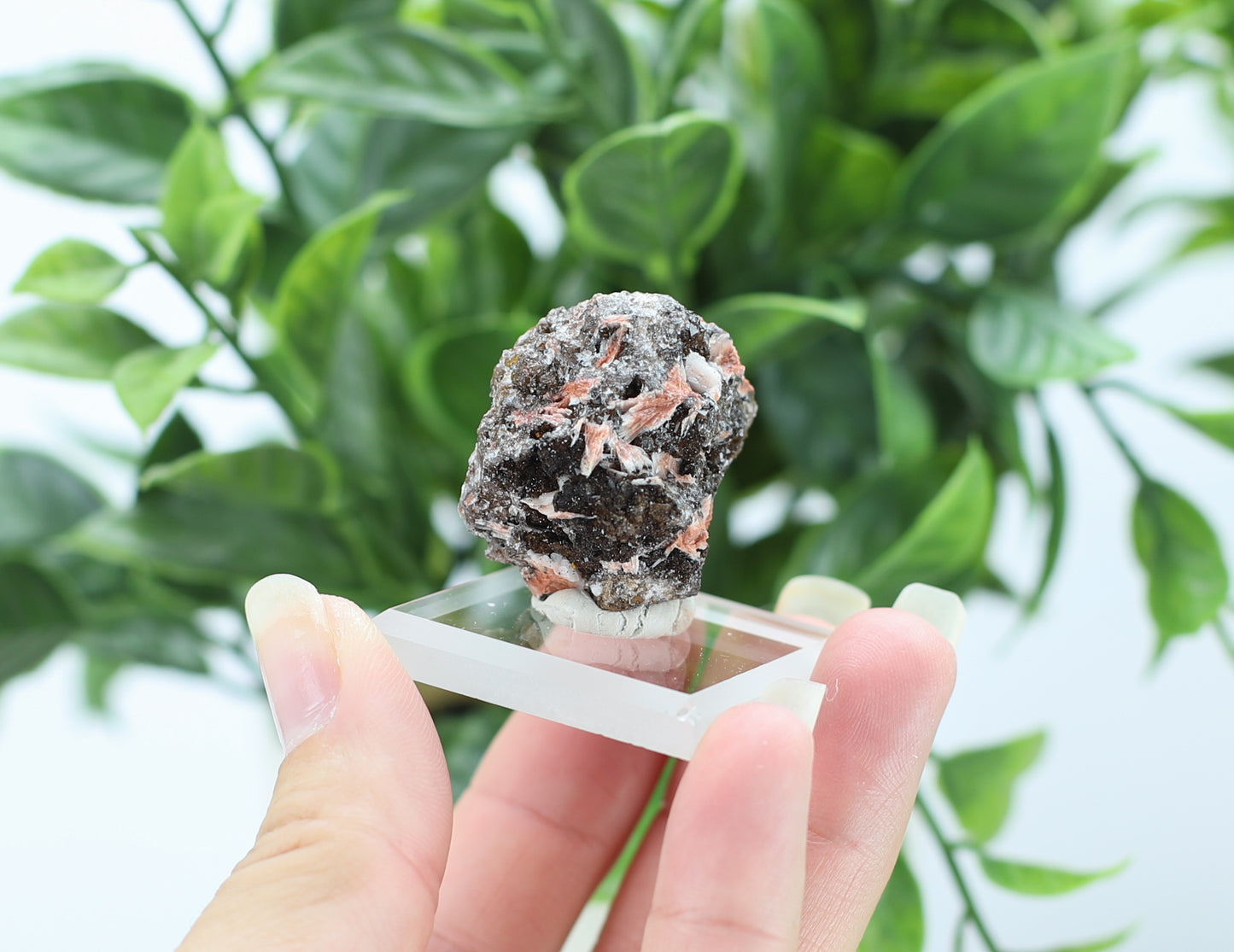 Manganese and Quartz