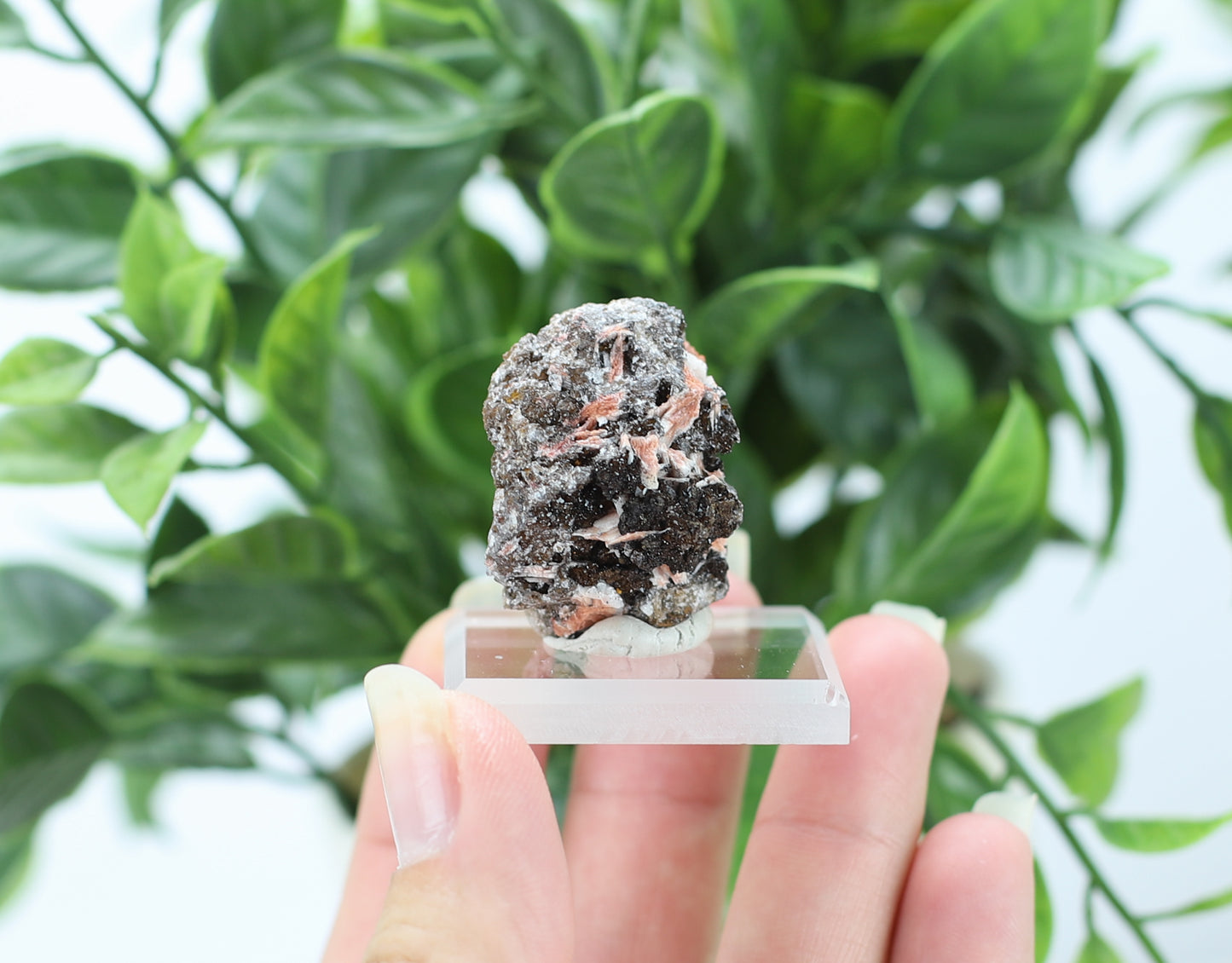 Manganese and Quartz