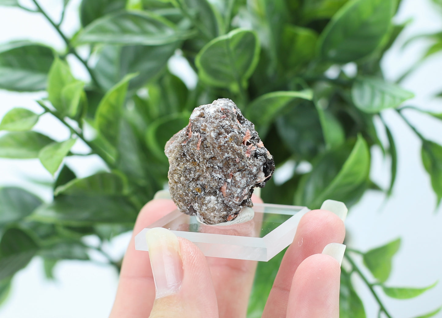 Manganese and Quartz