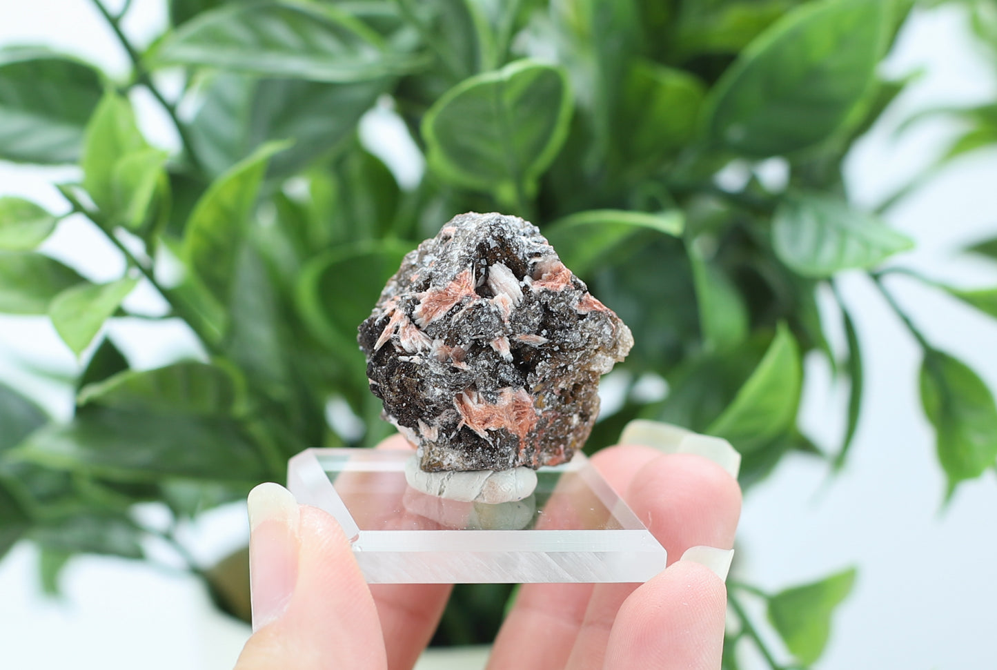 Manganese and Quartz