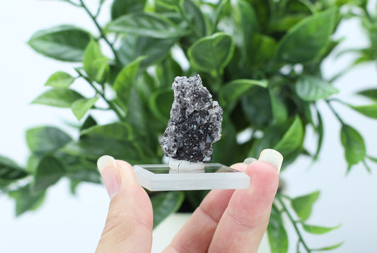Manganese and Quartz