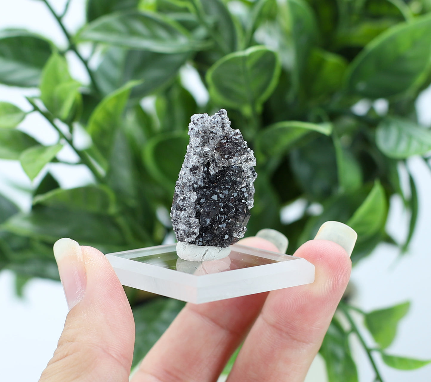 Manganese and Quartz