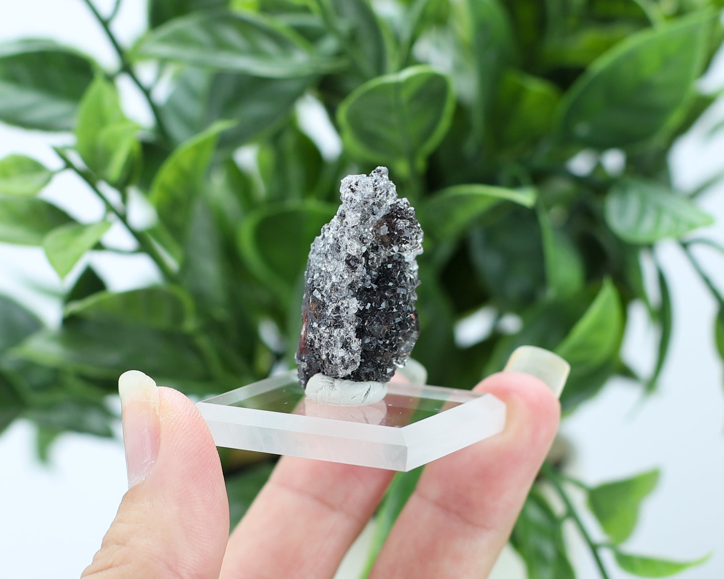 Manganese and Quartz