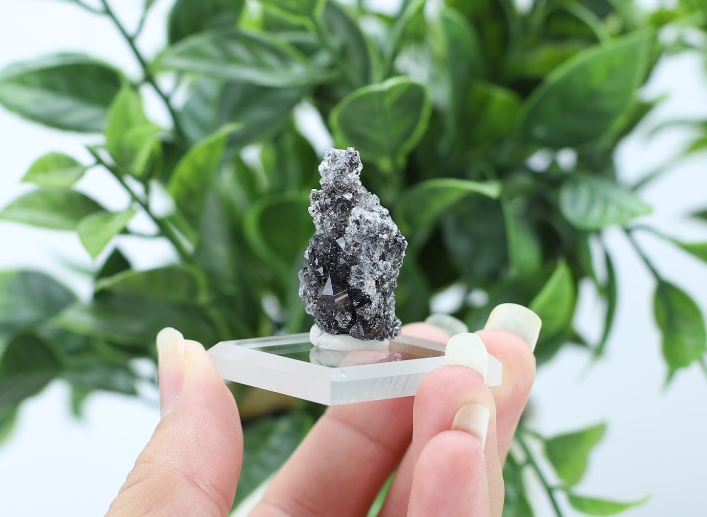 Manganese and Quartz