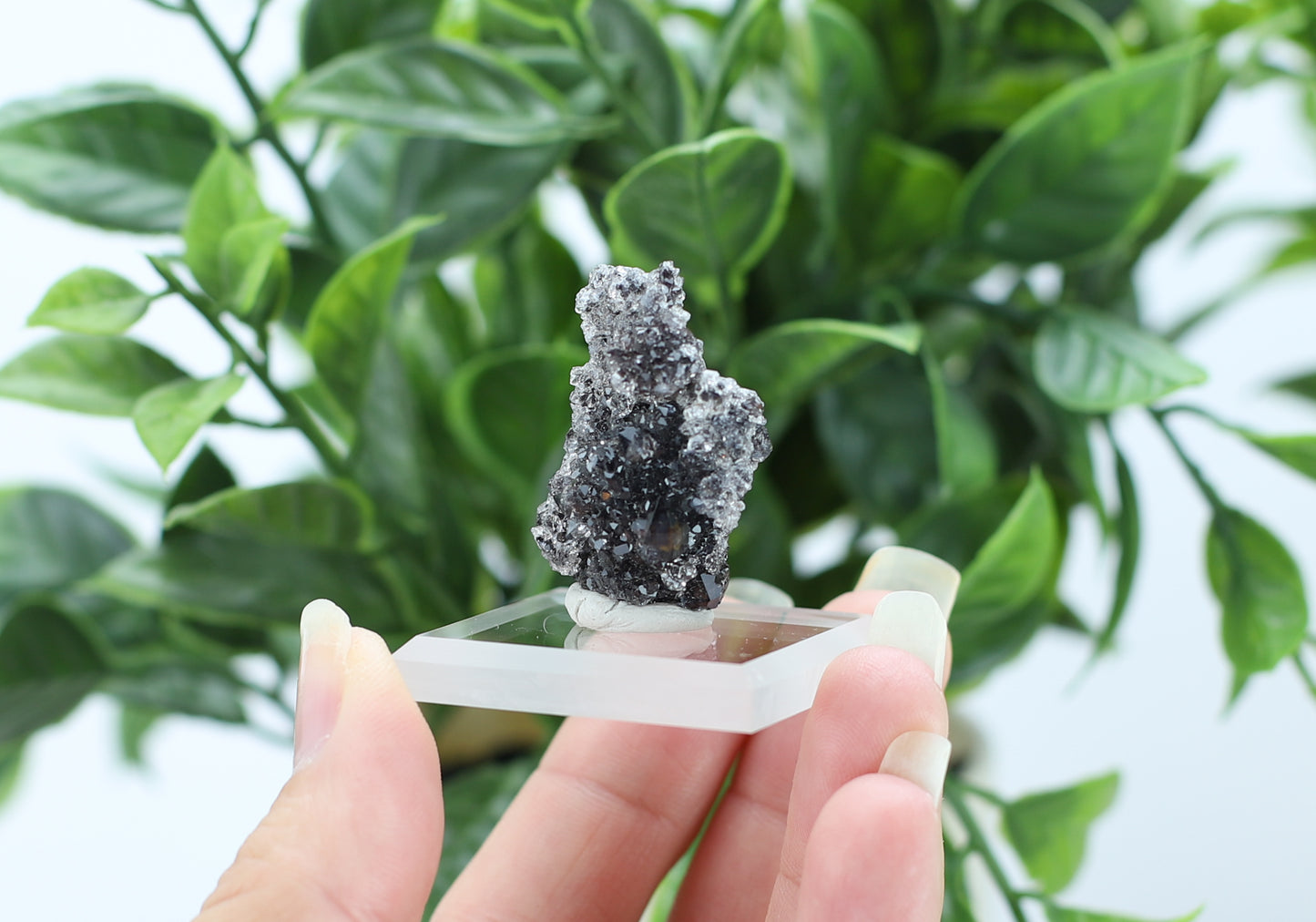 Manganese and Quartz
