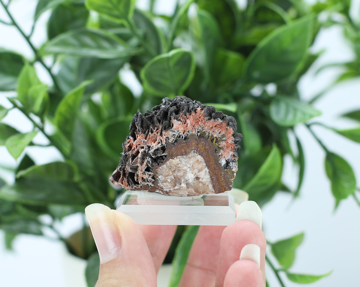 Manganese and Quartz