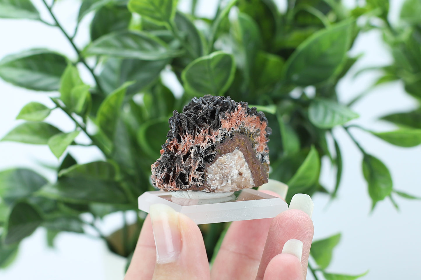Manganese and Quartz