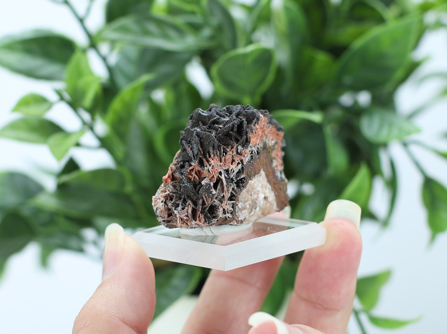 Manganese and Quartz