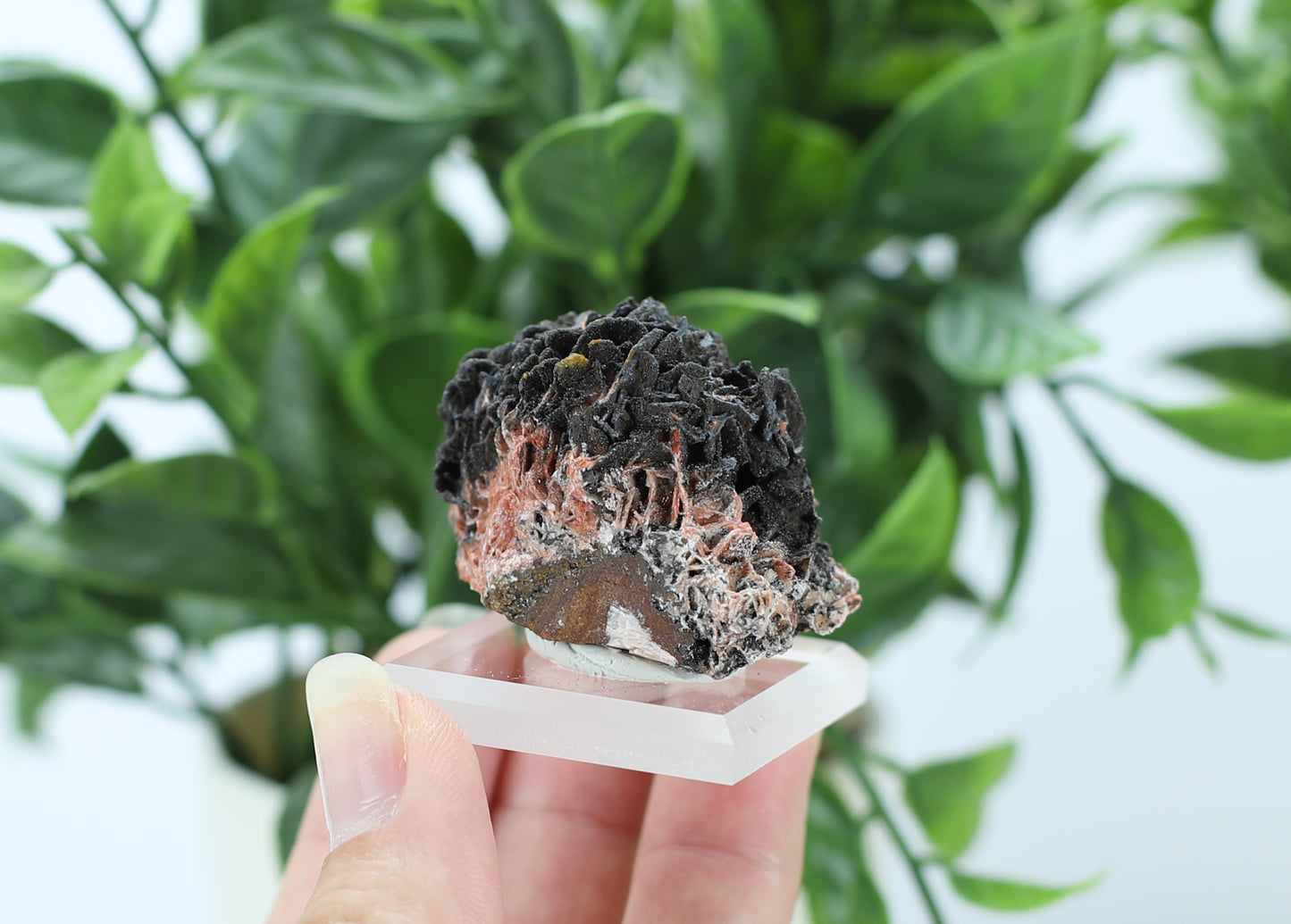 Manganese and Quartz
