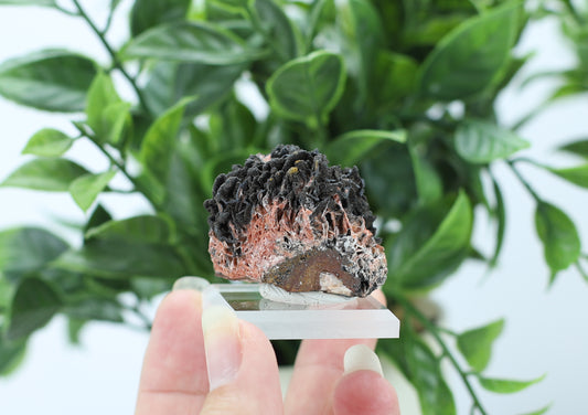 Manganese and Quartz