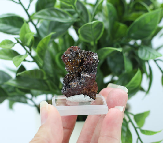 Manganese and Quartz