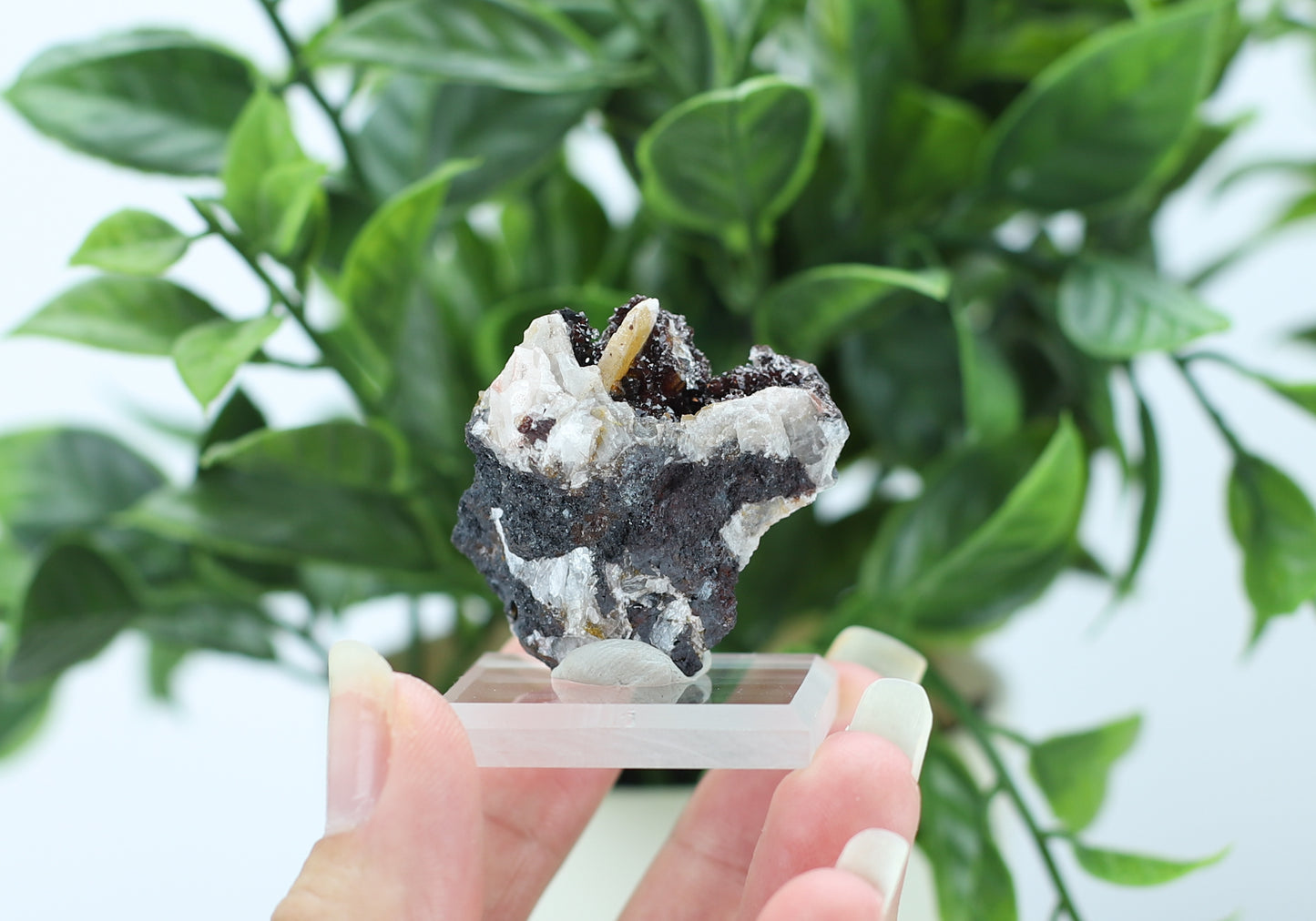 Manganese and Quartz Specimen