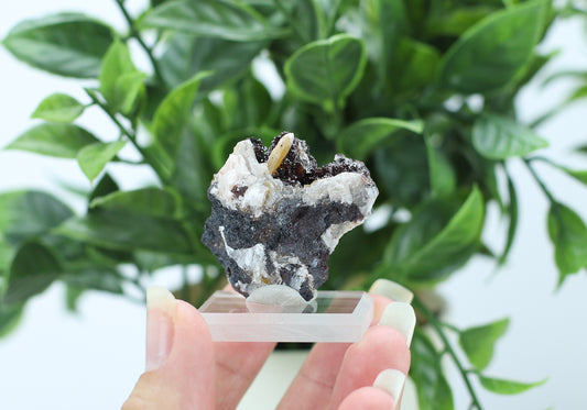 Manganese and Quartz Specimen