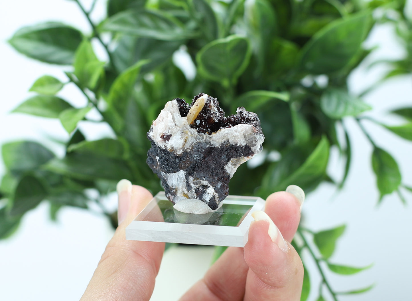 Manganese and Quartz Specimen