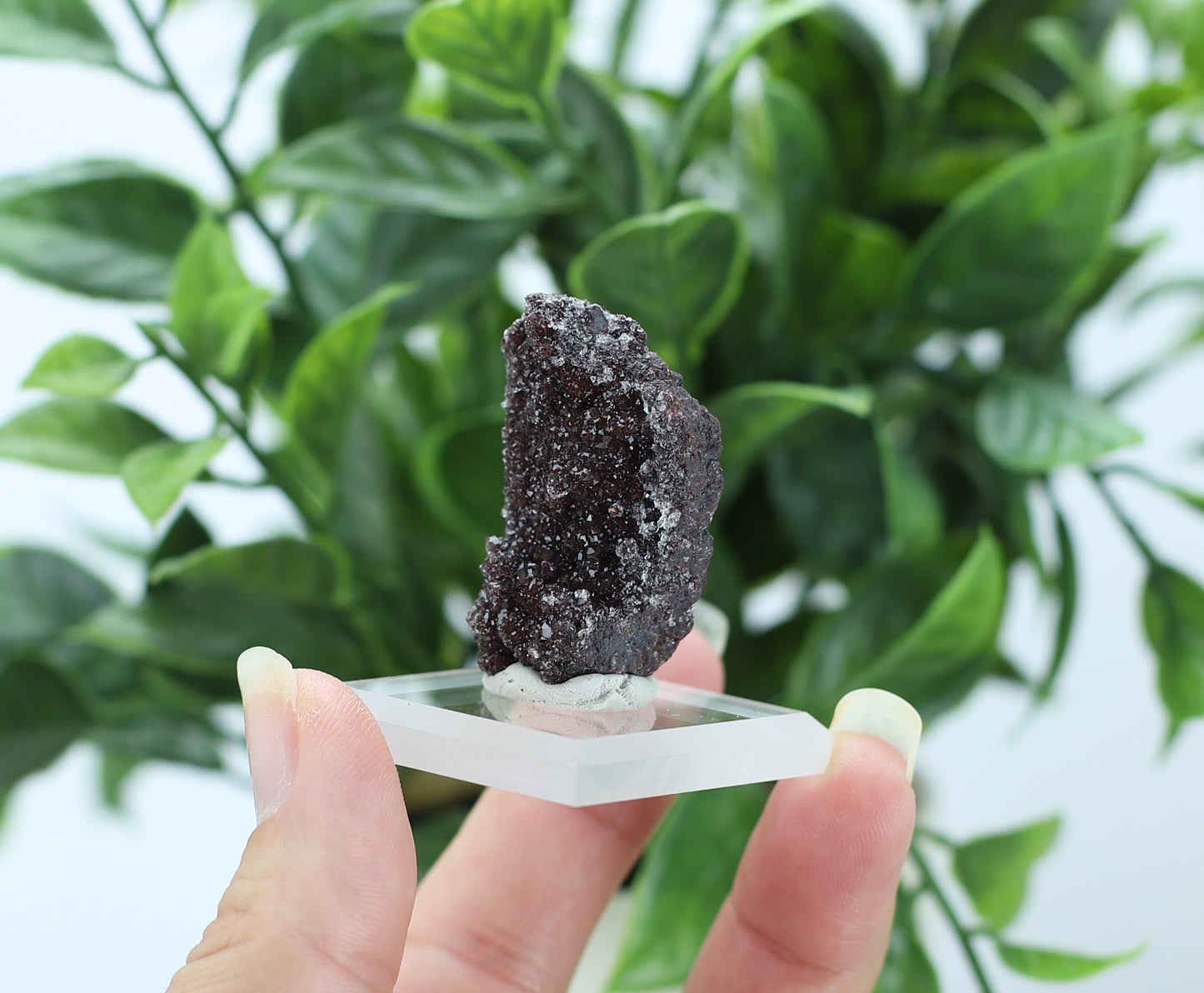 Manganese and Quartz Specimen