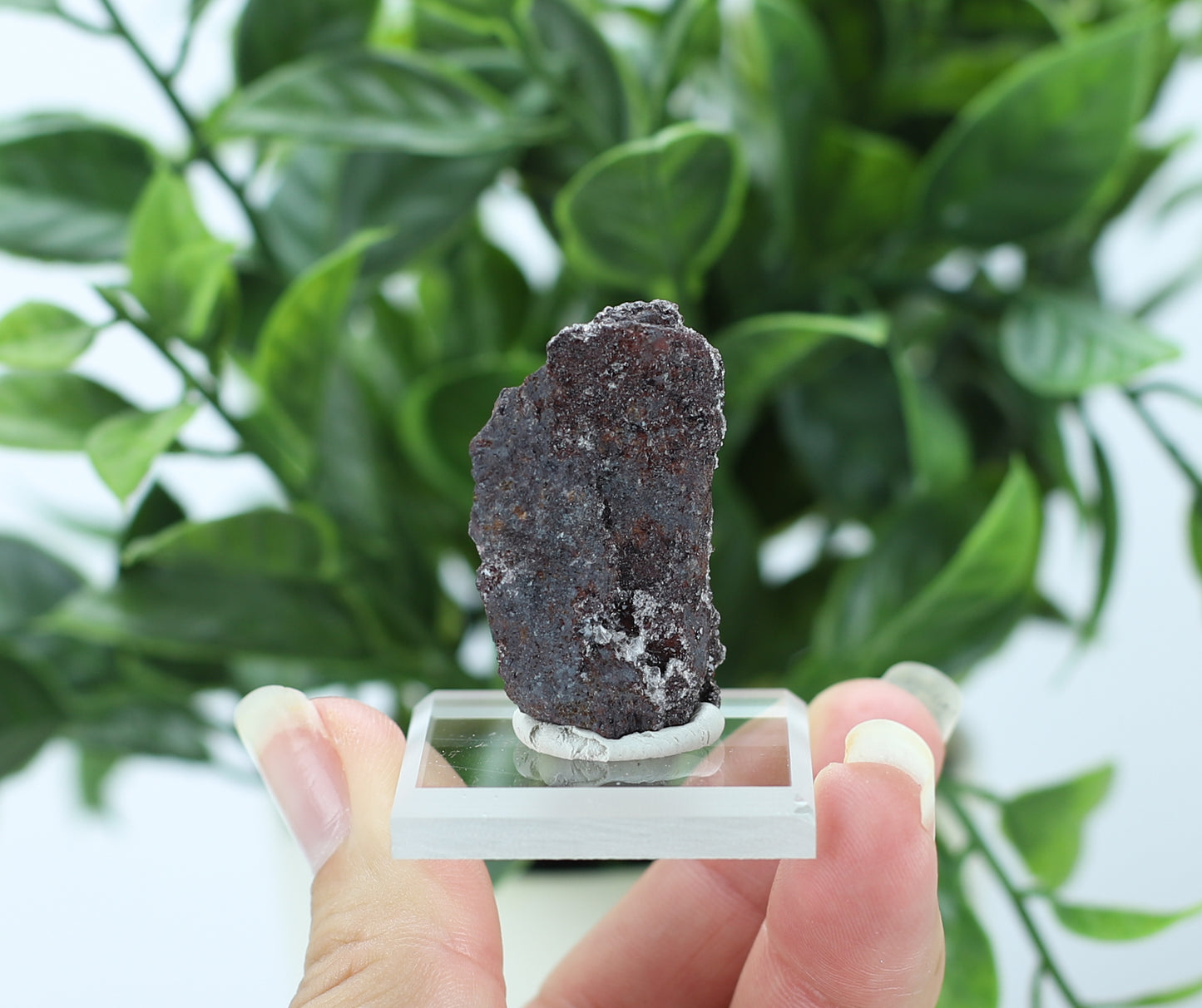 Manganese and Quartz Specimen