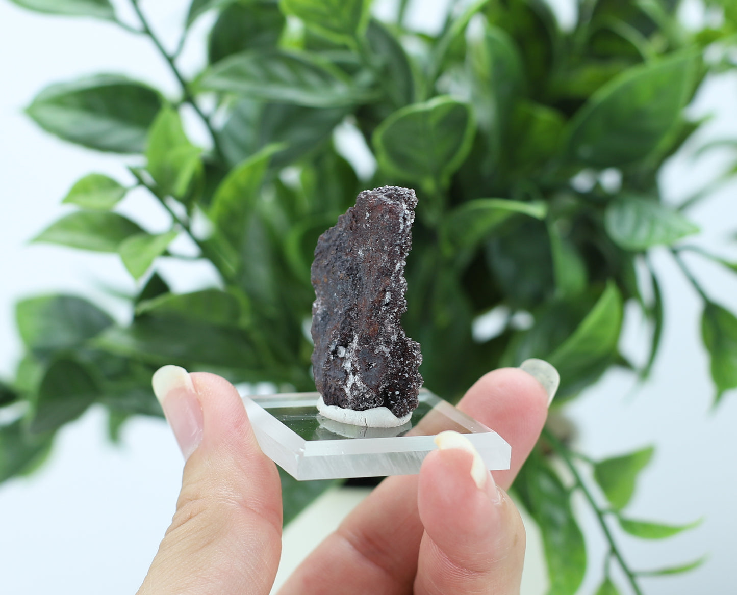 Manganese and Quartz Specimen