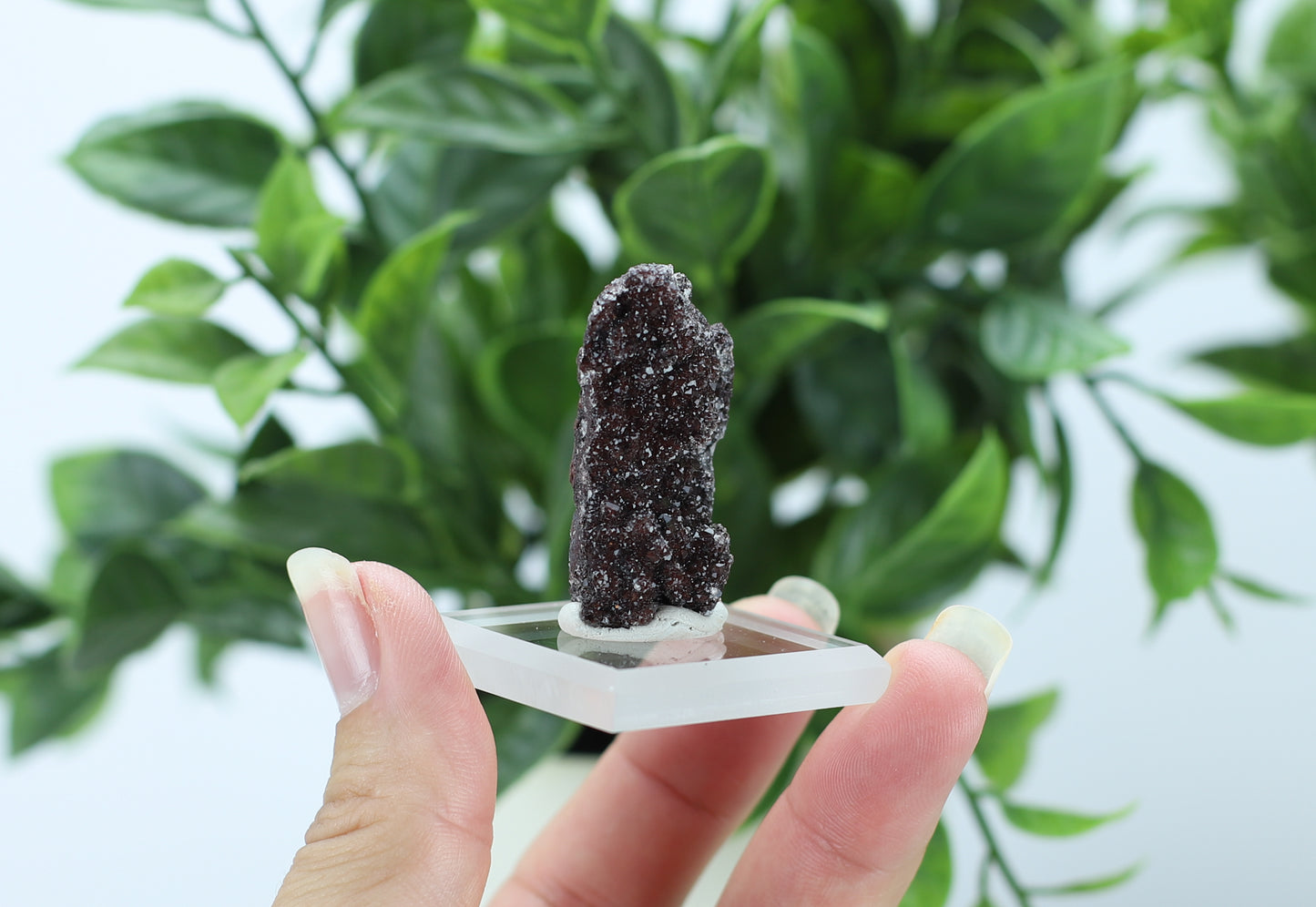 Manganese and Quartz Specimen