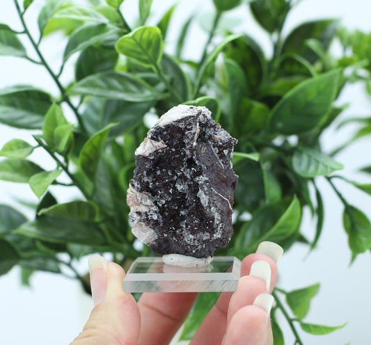Manganese and Quartz Specimen