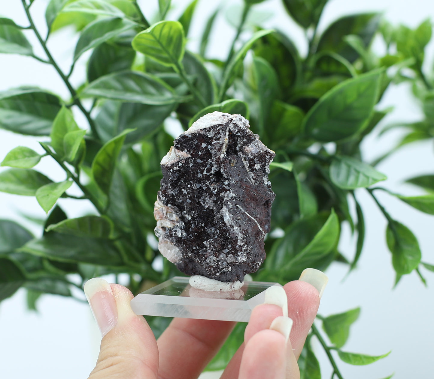 Manganese and Quartz Specimen