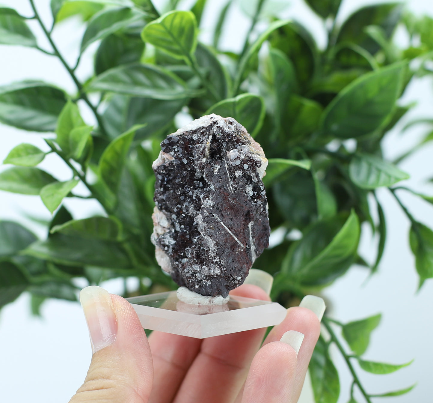 Manganese and Quartz Specimen