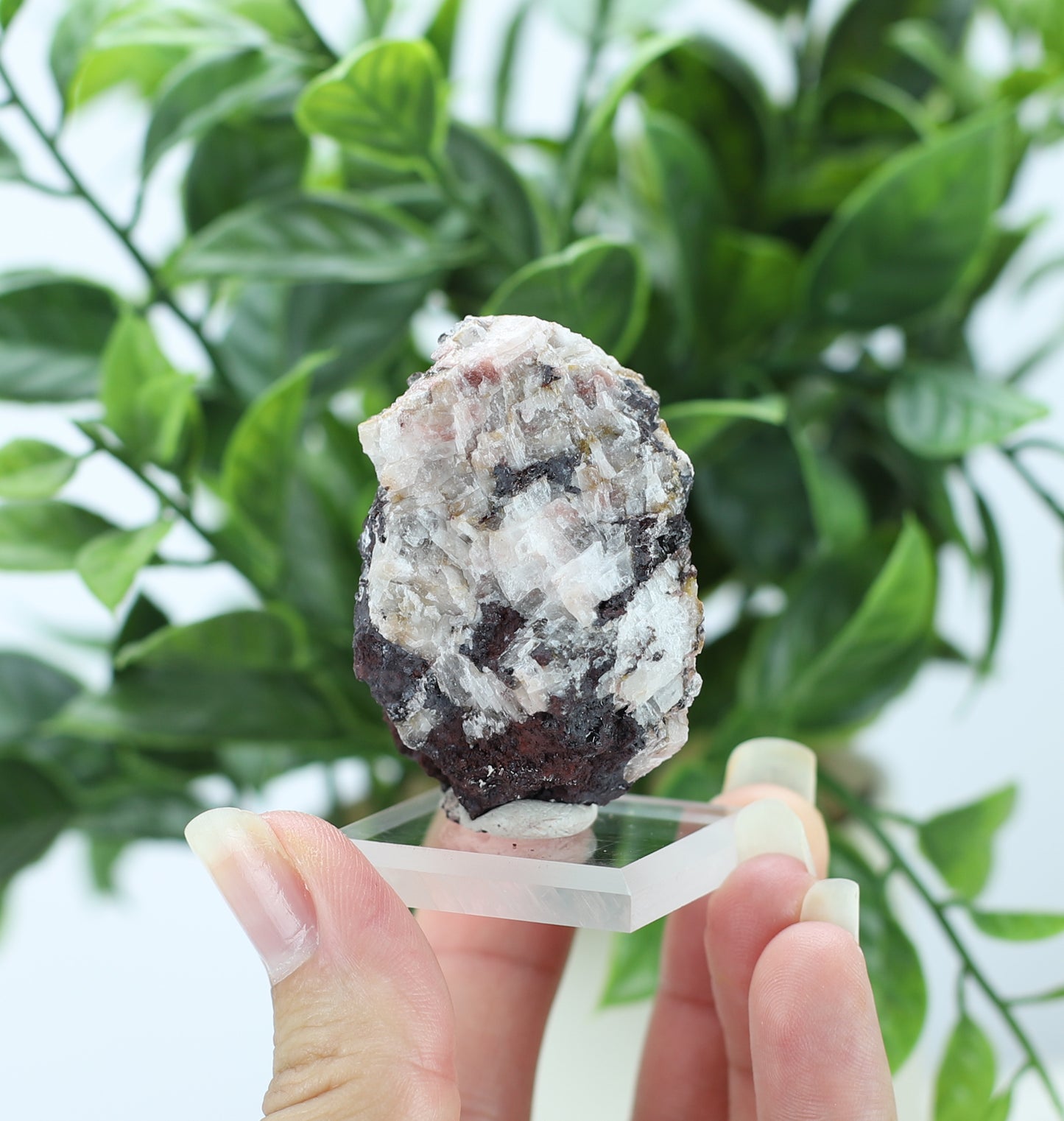 Manganese and Quartz Specimen