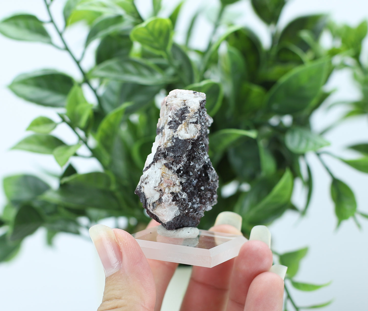 Manganese and Quartz Specimen
