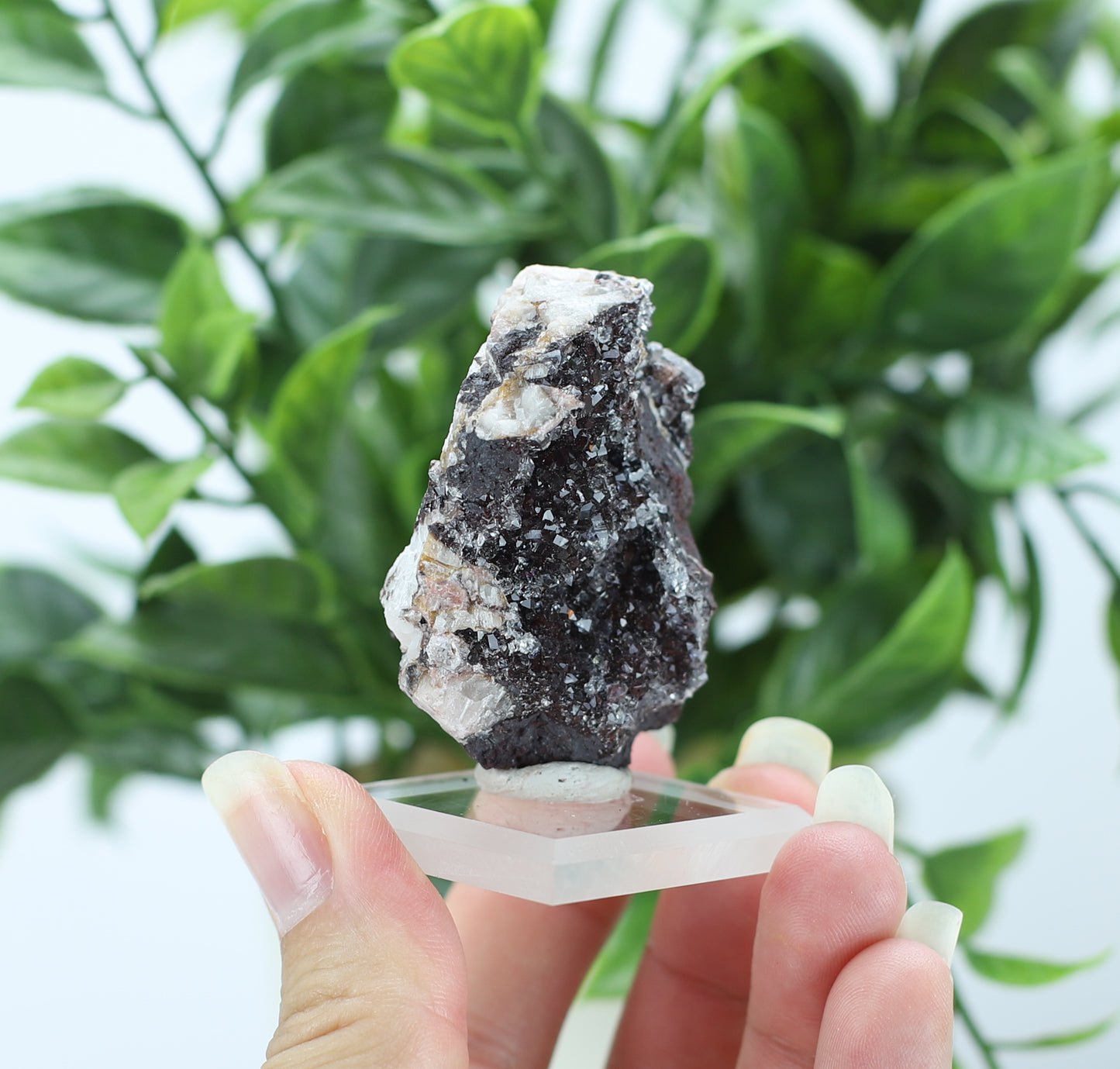 Manganese and Quartz Specimen