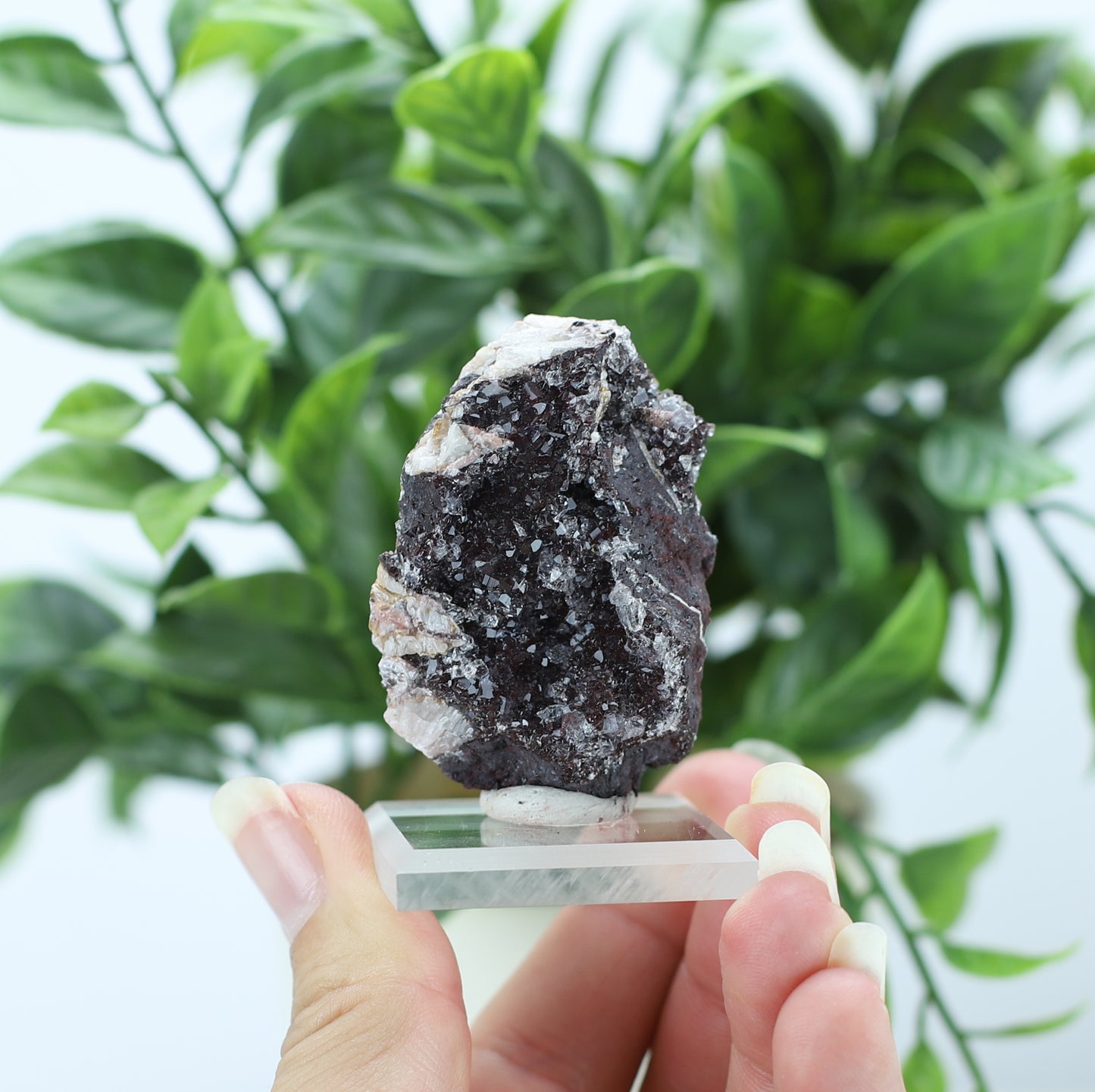 Manganese and Quartz Specimen