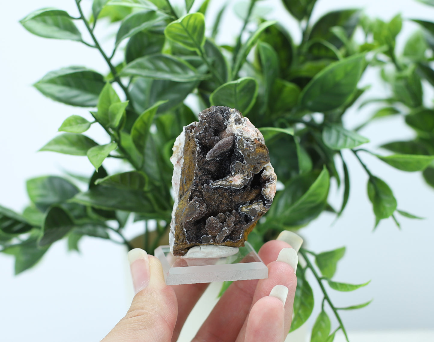 Manganese and Quartz Specimen