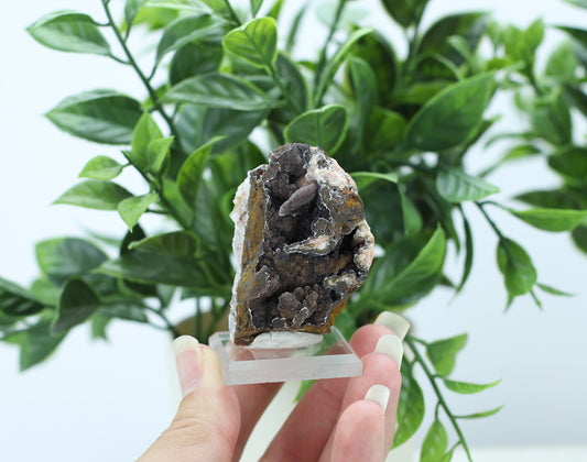 Manganese and Quartz Specimen