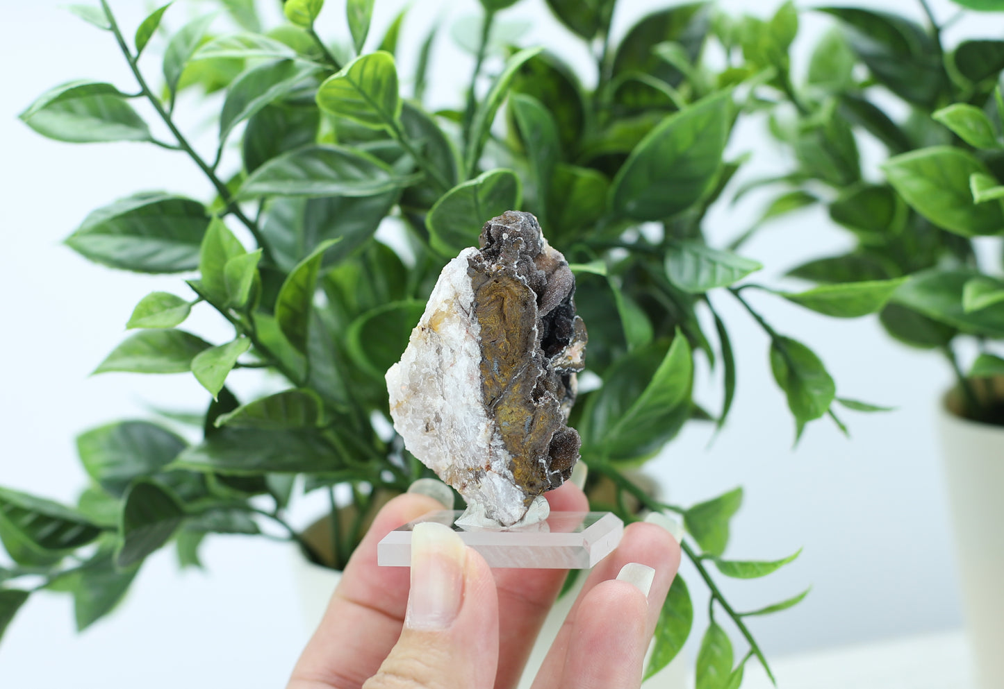 Manganese and Quartz Specimen