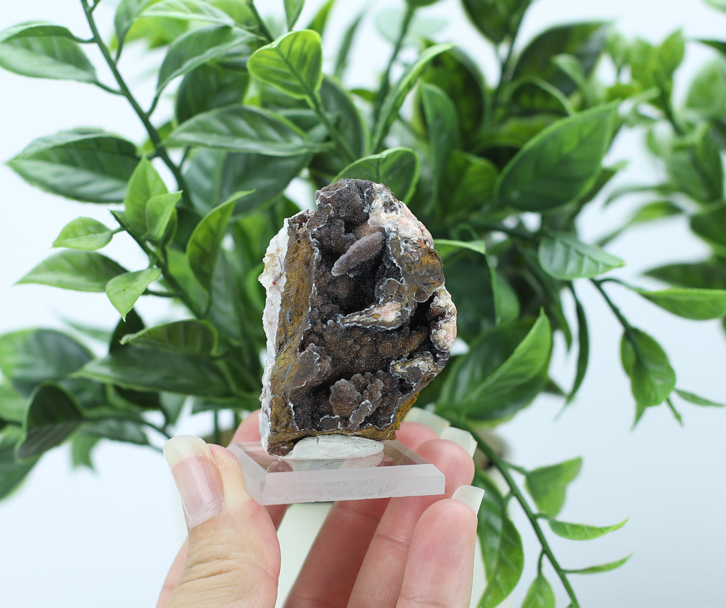 Manganese and Quartz Specimen
