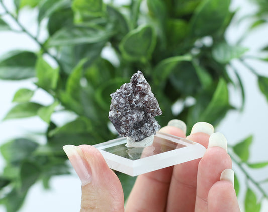 Manganese and Quartz Crystal