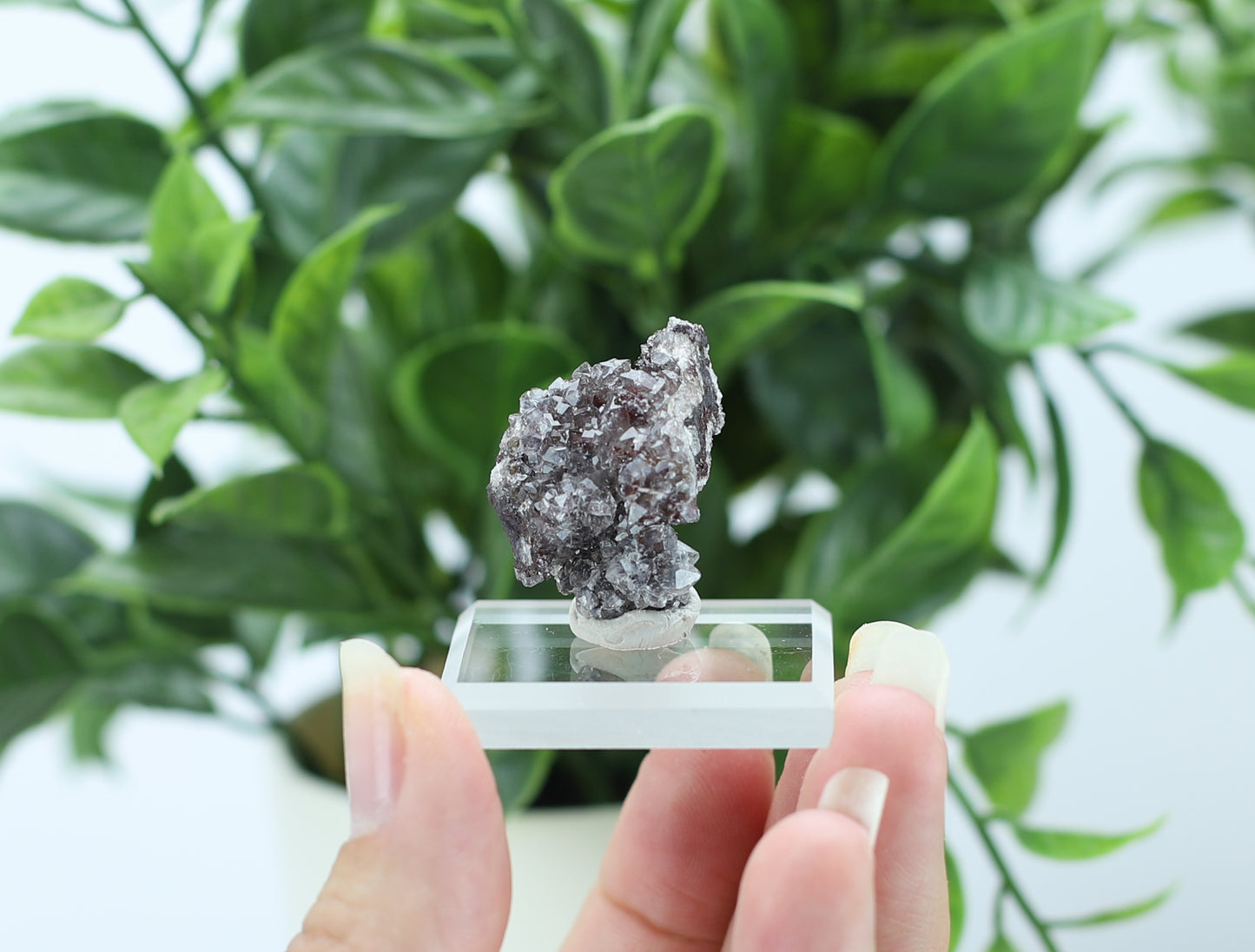 Manganese and Quartz Crystal