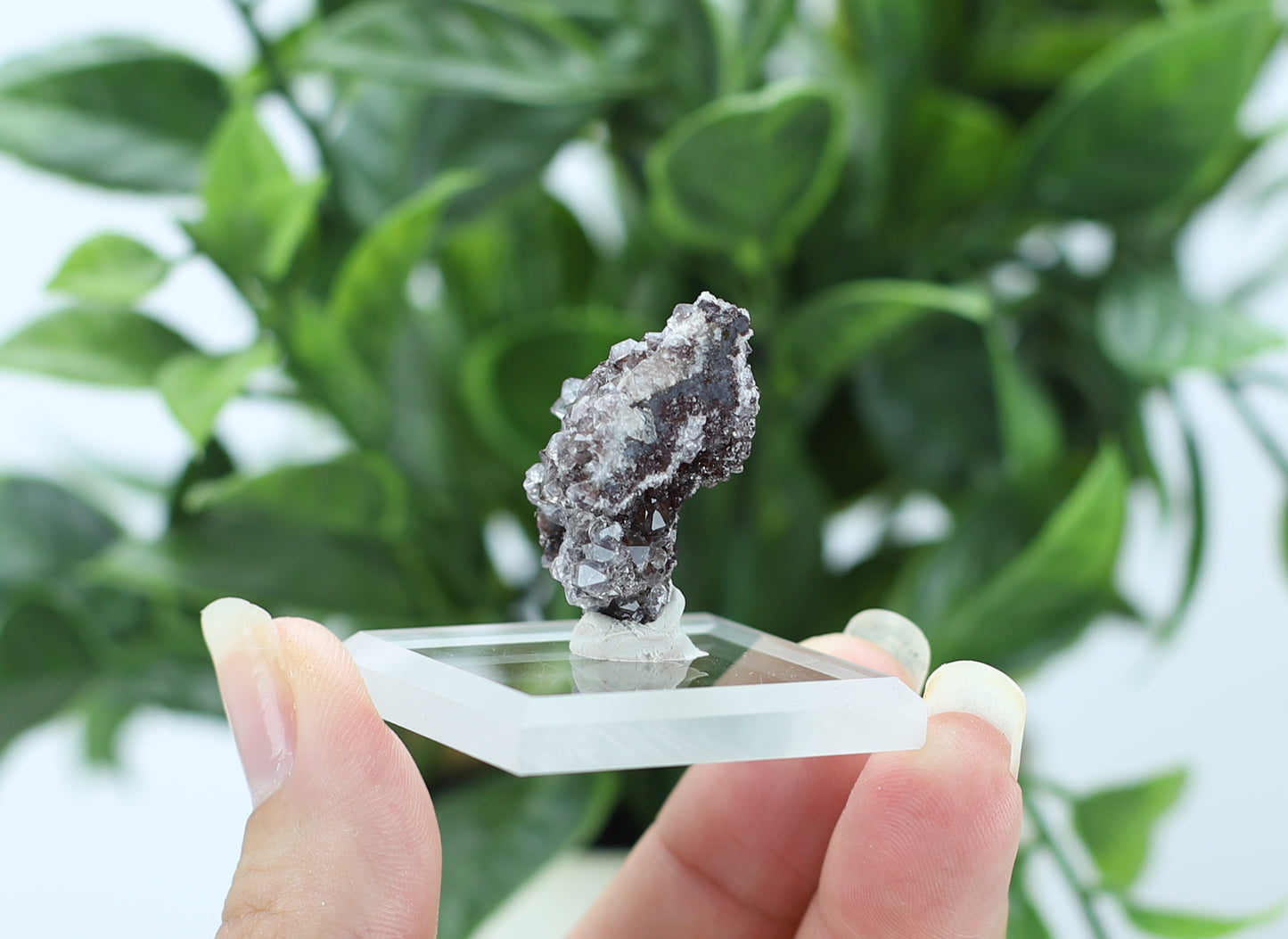 Manganese and Quartz Crystal